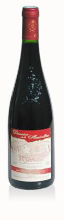 Anjou-Gamay