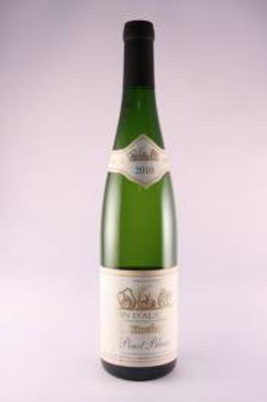 Alsace Chasselas (ou Gutedel)
