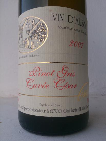 Alsace Pinot Gris