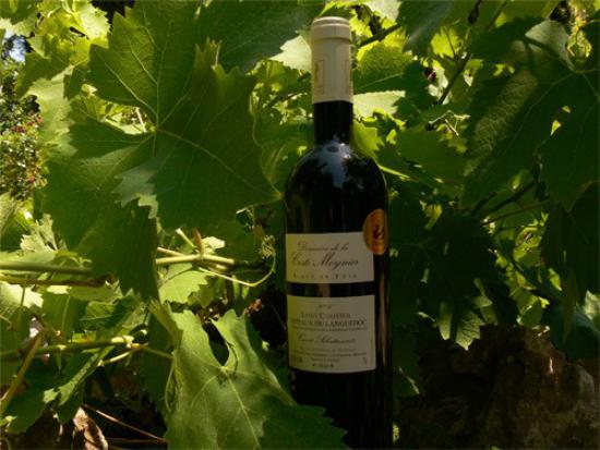 Coteaux du Languedoc
