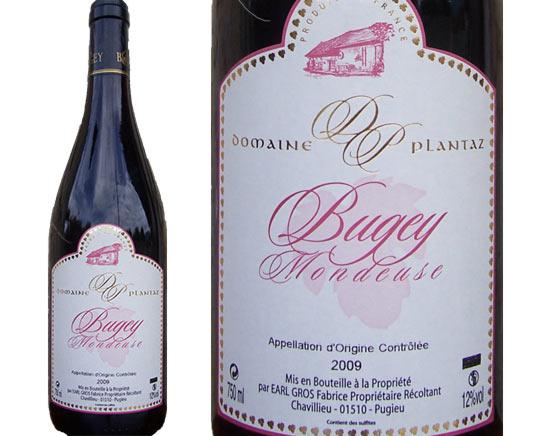 Bugey