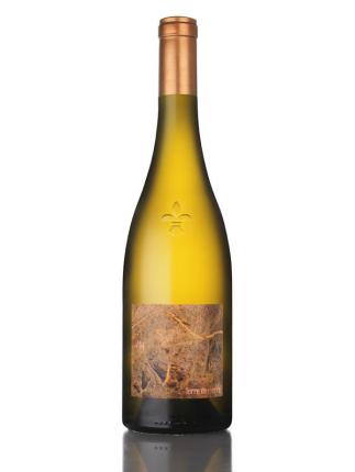 Muscadet-Sèvre-et-Maine