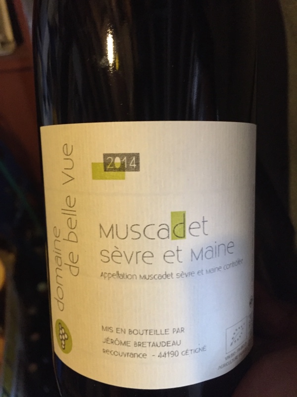 Muscadet-Sèvre-et-Maine