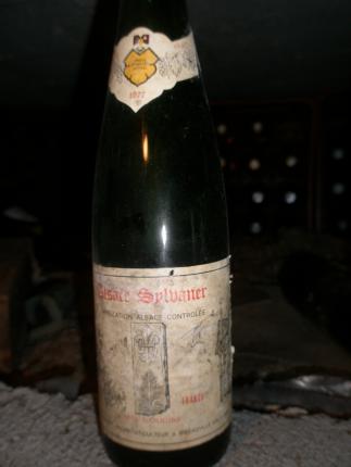 Alsace Sylvaner