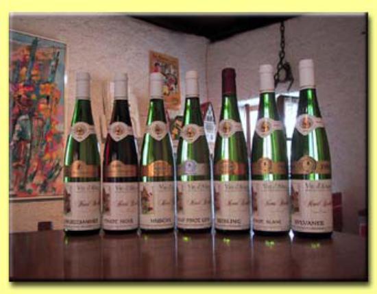Alsace muscat